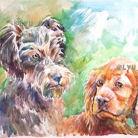 Собаки_Леди и бродяга_акварель