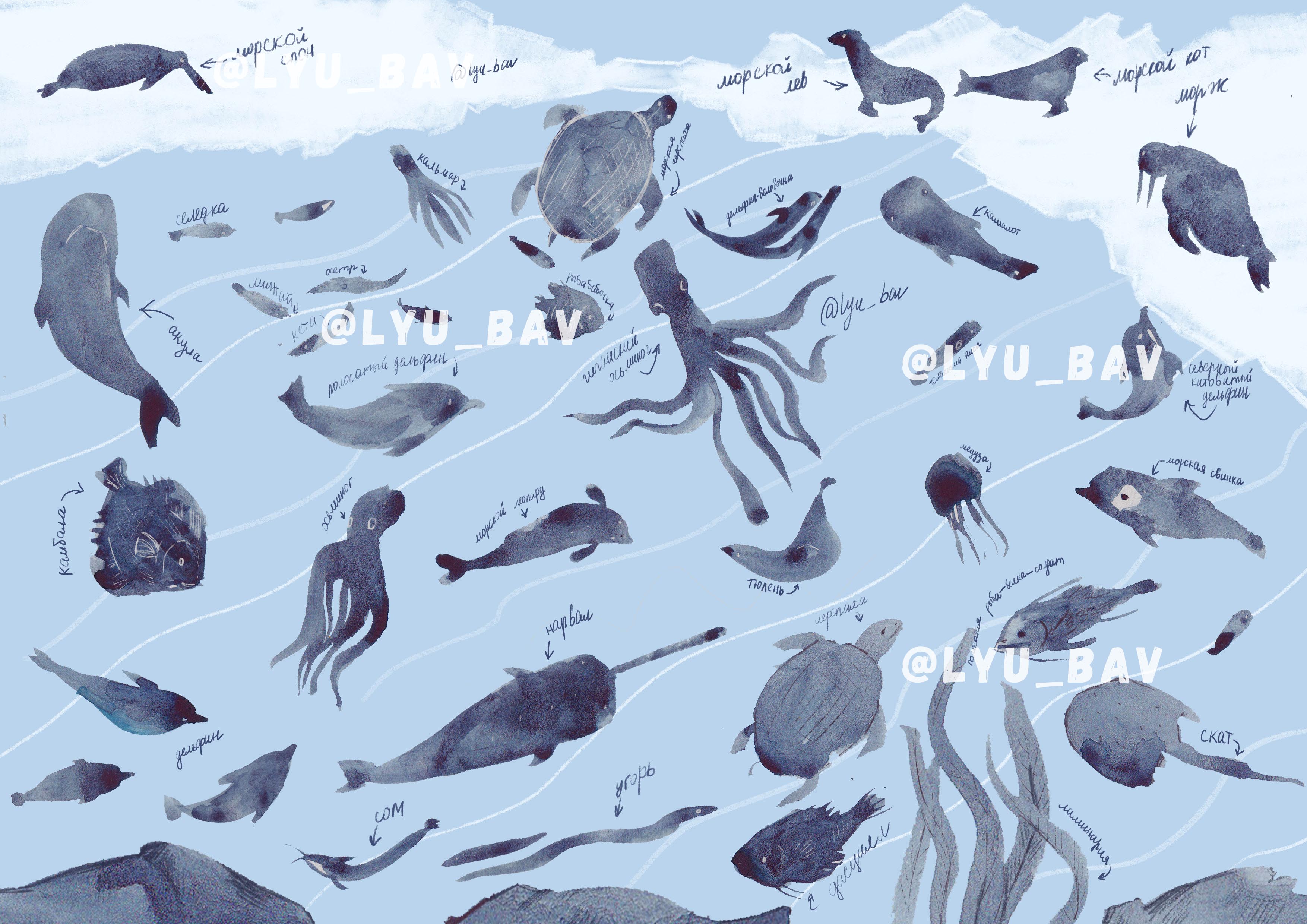 коллаж - животные северного полюса