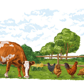 Фермерский двор