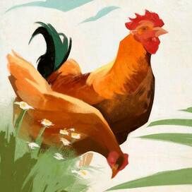 Бабушкины птицы