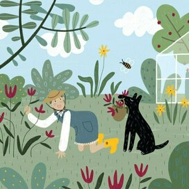 Книга «Танец дождя»