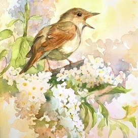 Юрий Коваль «Соловьи»