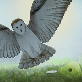 Глупый маленький мышонок