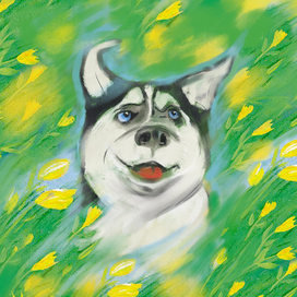 ветерок в ушах