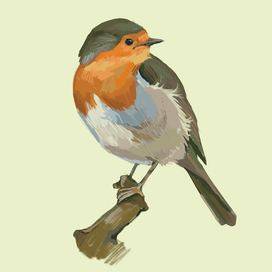 Малиновка(зарянка)