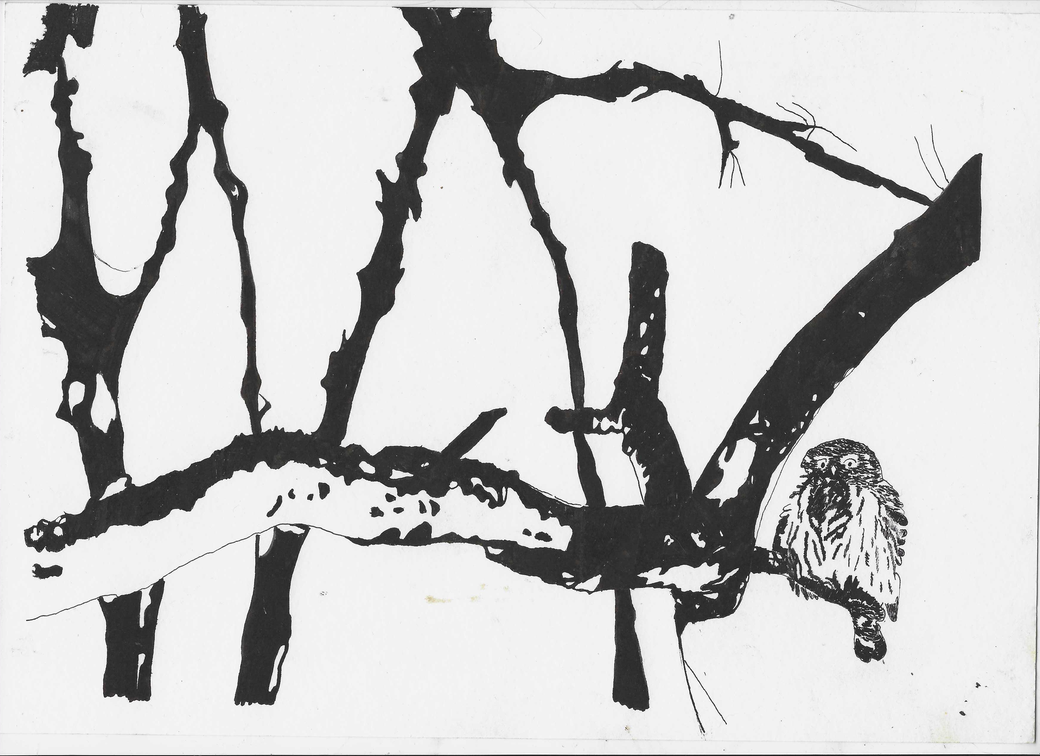 В переплетении ветвей