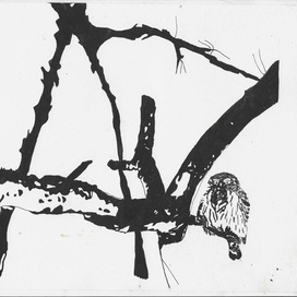 В переплетении ветвей