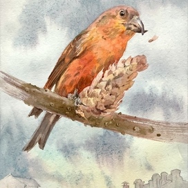 Ю. Коваль «Капитан Клюквин»