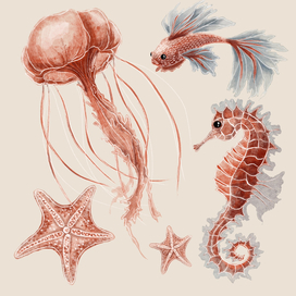 Медуза, рыба, морской конек, морская звезда 