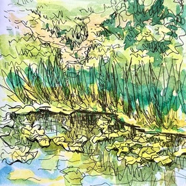 Летним днем