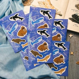 Стикерпак Морж и его команда