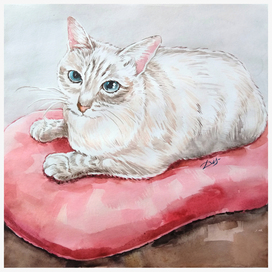 "Кошечка Луна"