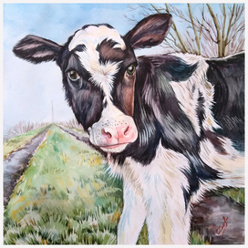 "В поисках приключений"