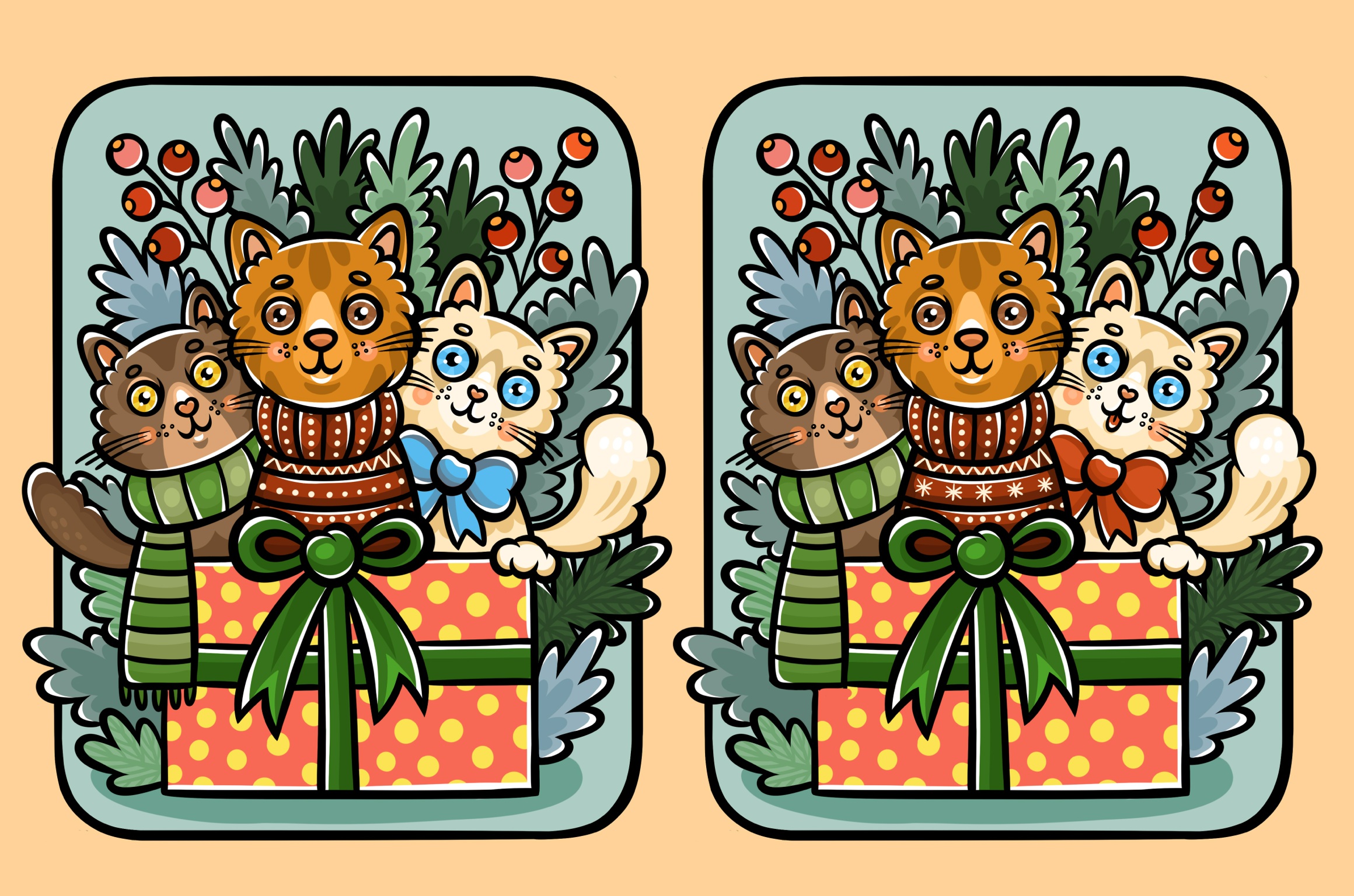 Котики в коробке