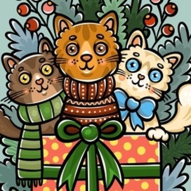 Котики в коробке