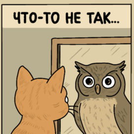 что-то не так