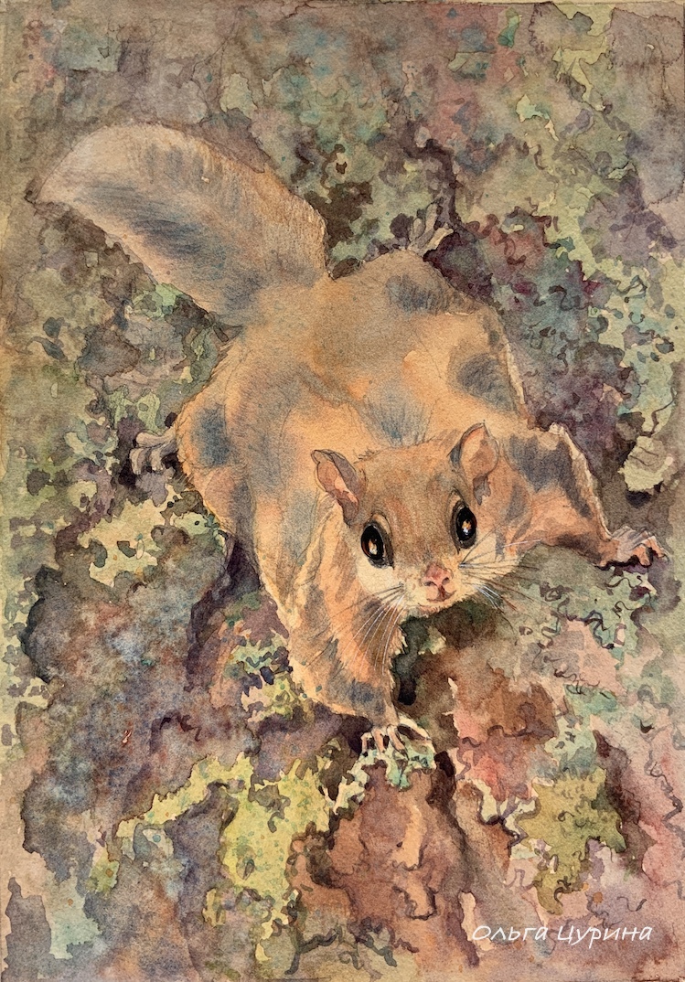 Юрий Коваль «Серая ночь»