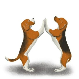 Бигль и эстонская гончая