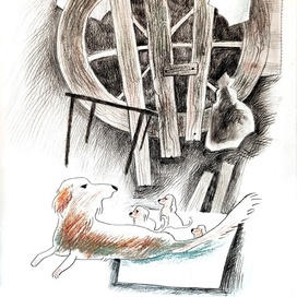 В темном закуте