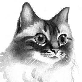 Кошечка Таисия