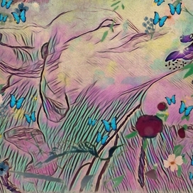 Волшебный лес 