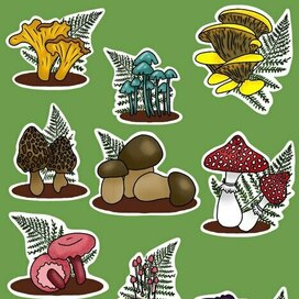 Стикер-пак Грибы
