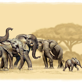 Знакомство