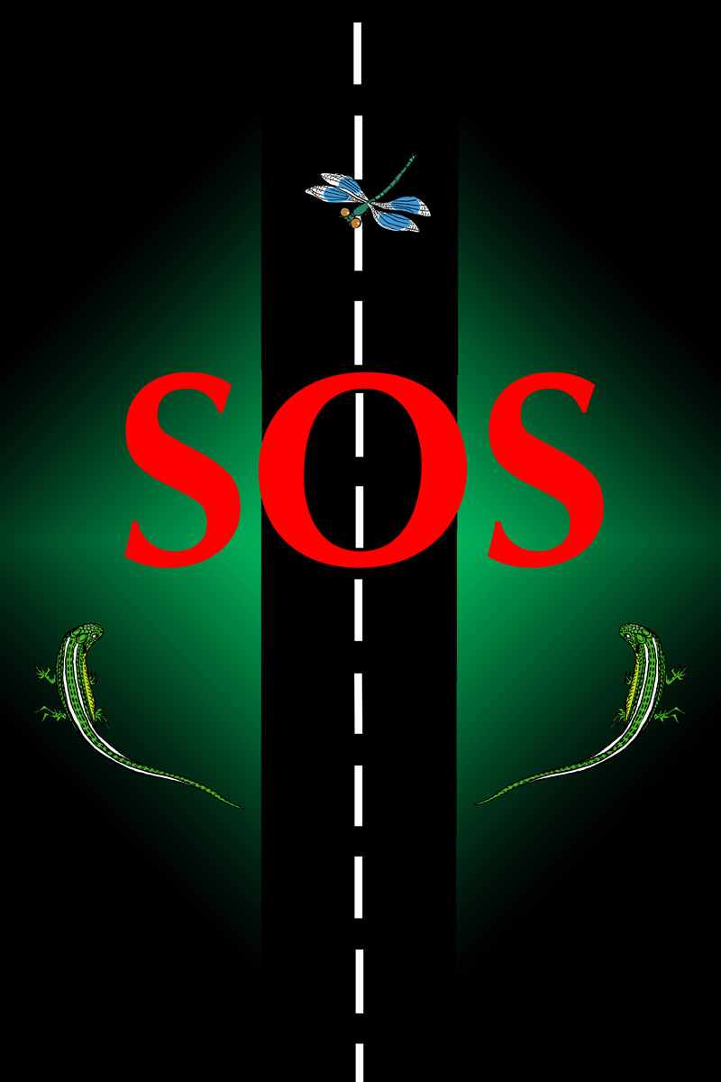 серия плакатов в защиту "Лосиного острова" 1 SOS