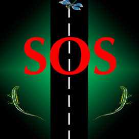 серия плакатов в защиту "Лосиного острова" 1  SOS