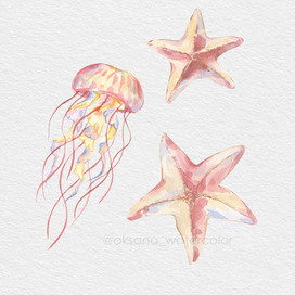Акварельная иллюстрация медуза и морские звезды