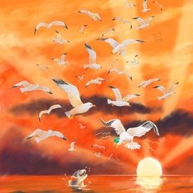 Чайка и рыба