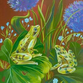 Лягушки