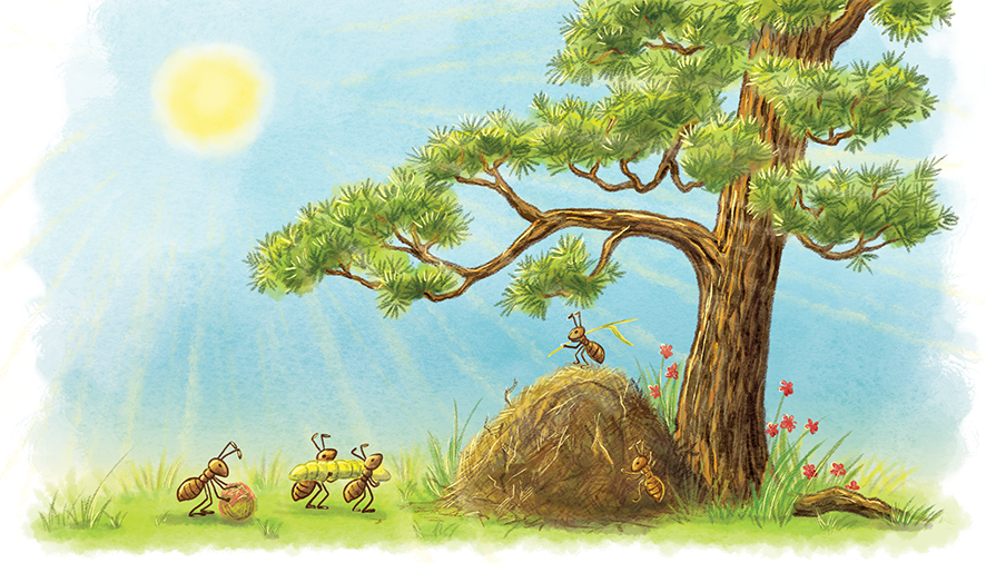 Муравейник