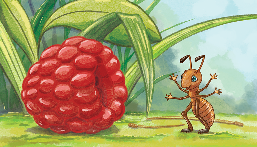 Муравей и малина