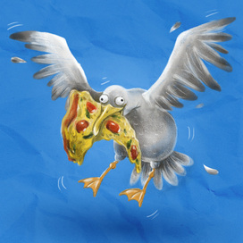 Наглая чайка