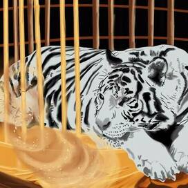 Белый тигр спит