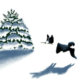 Русско-европейская лайка