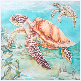 "Дайвинг с черепахой"