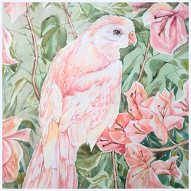 "Розовое чудо"