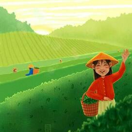 собирательницы чая