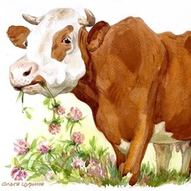 «Везуха» Ю. Коваль для изд. Качели