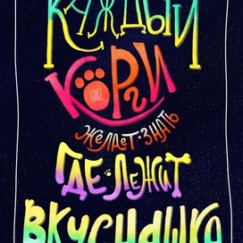 Каждый корги желает знать