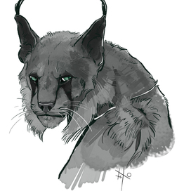 Недовольный