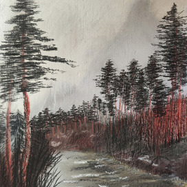 Река в Карелии