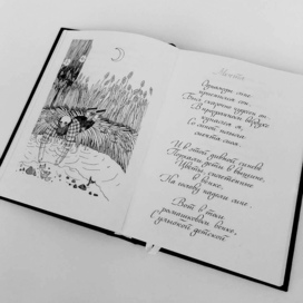 "Мечта" 2017 год