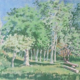 Летний день в заповеднике. Испания. Гандия.