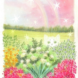 Дуса - душа сада, кот-призрак.