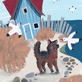 Морские друзья