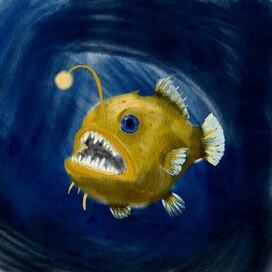 Рыба удильщик