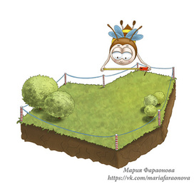 Пчелка и земельный участок